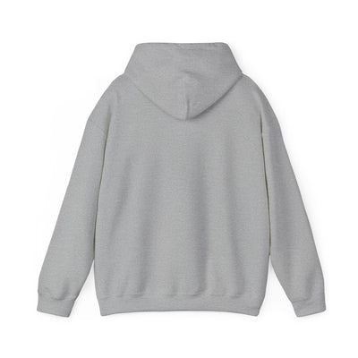 Inspirational Hooded Sweatshirt - 'Do Not Worry, Instead, Pray'