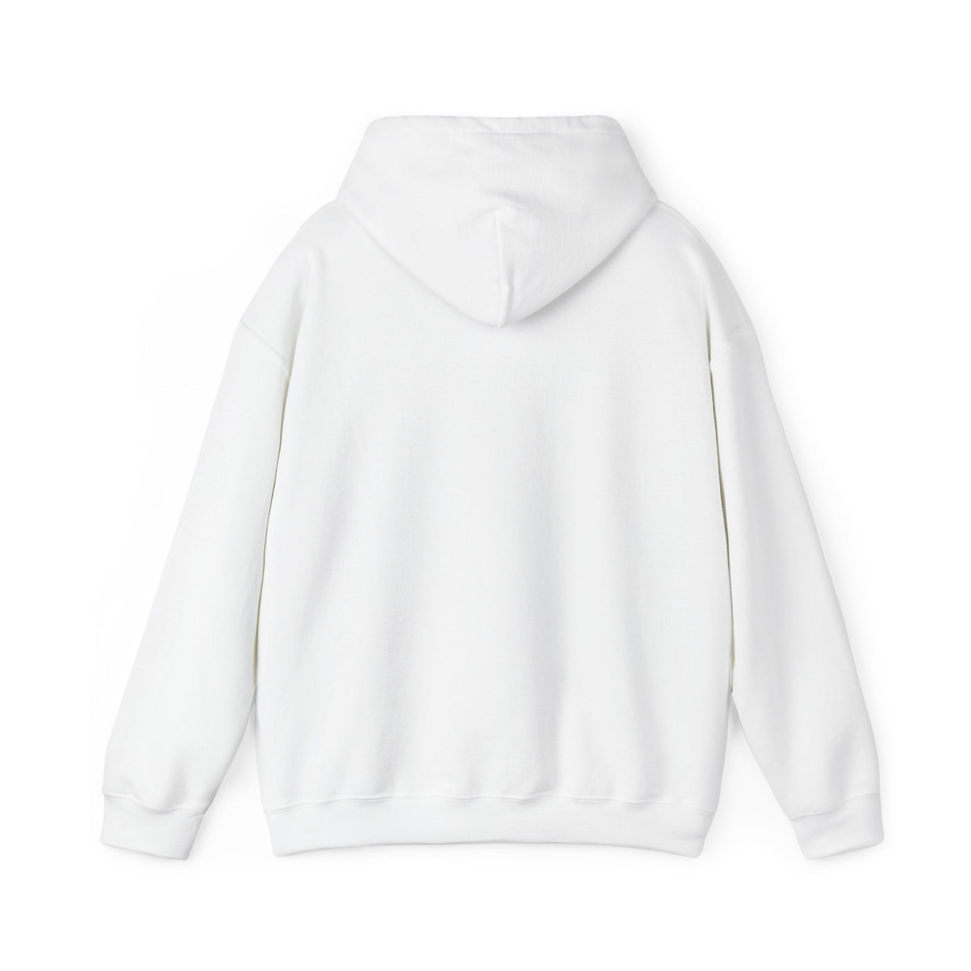 Inspirational Hooded Sweatshirt - 'Do Not Worry, Instead, Pray'