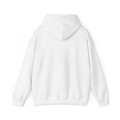 Inspirational Hooded Sweatshirt - 'Do Not Worry, Instead, Pray'