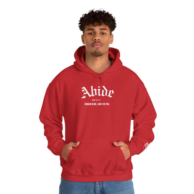 Cozy Abide Hoodie for Faith & Inspiration, Unisex Sweatshirt for Everyday Wear