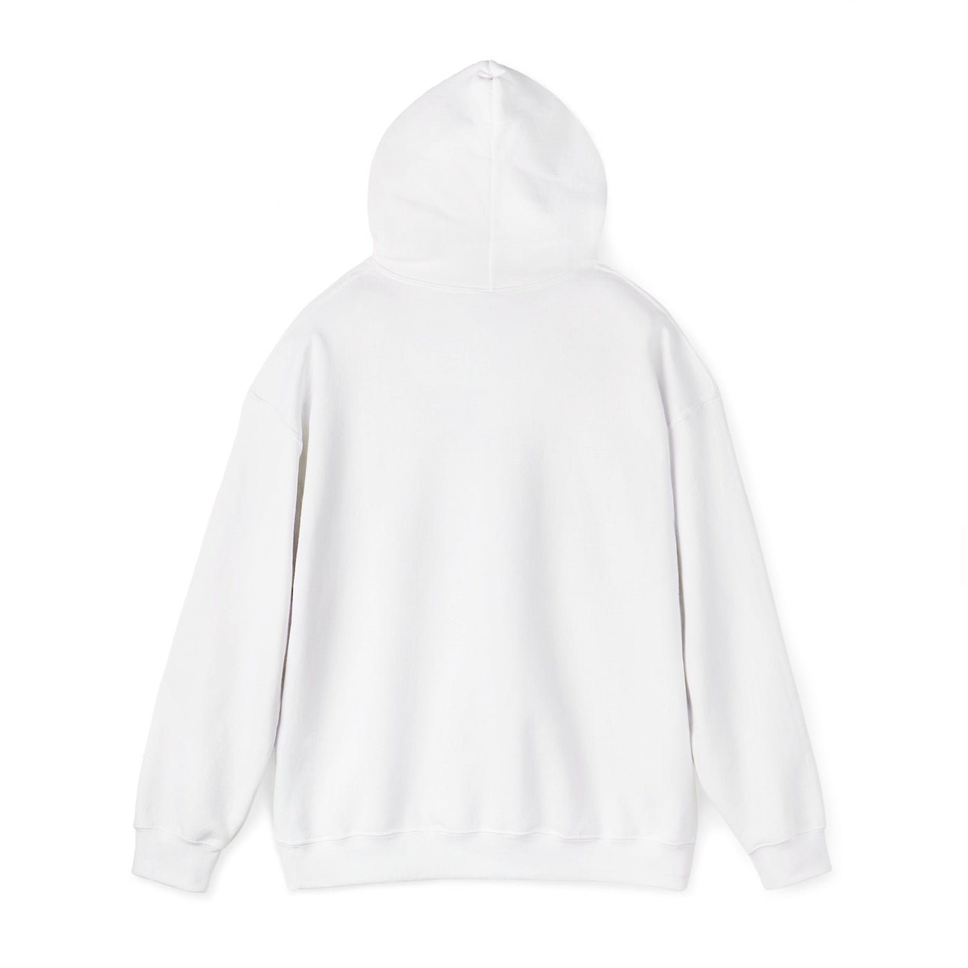 Inspirational Hooded Sweatshirt - 'Do Not Worry, Instead, Pray'