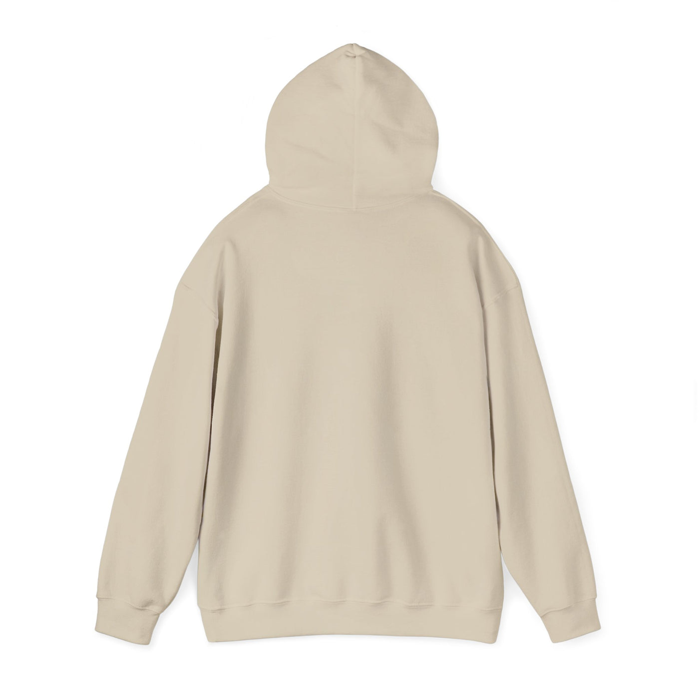 Inspirational Hooded Sweatshirt - 'Do Not Worry, Instead, Pray'