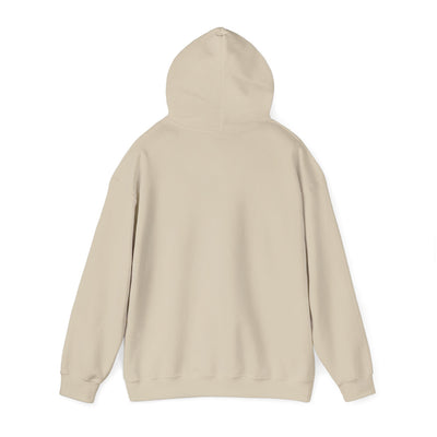 Inspirational Hooded Sweatshirt - 'Do Not Worry, Instead, Pray'