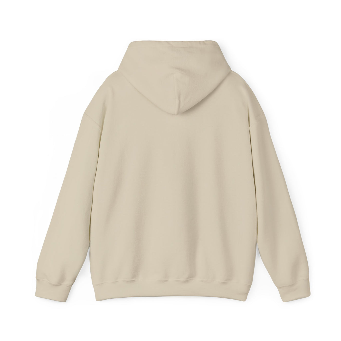 Inspirational Hooded Sweatshirt - 'Do Not Worry, Instead, Pray'