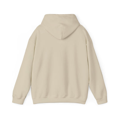 Inspirational Hooded Sweatshirt - 'Do Not Worry, Instead, Pray'