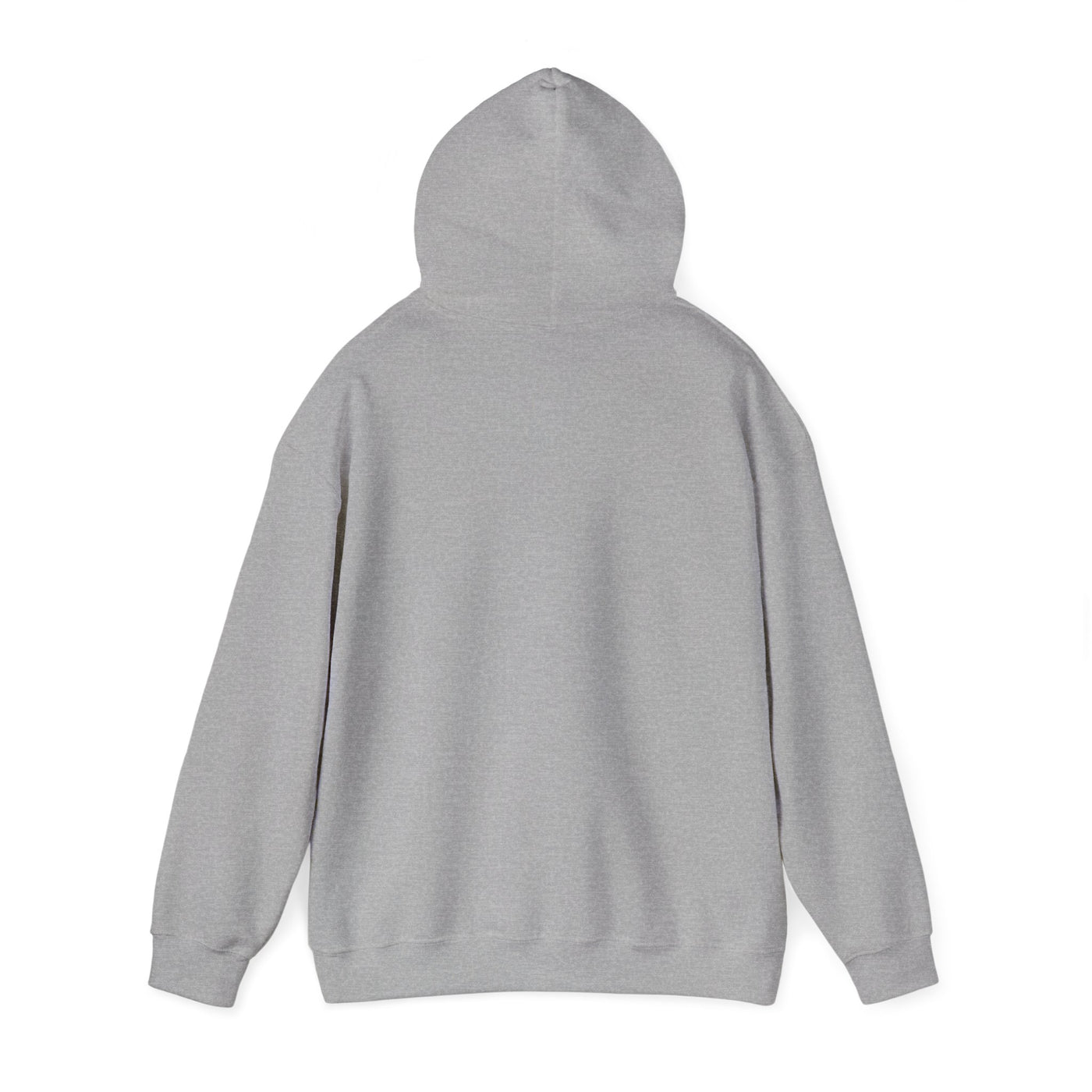 Inspirational Hooded Sweatshirt - 'Do Not Worry, Instead, Pray'