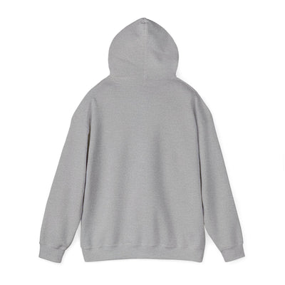 Inspirational Hooded Sweatshirt - 'Do Not Worry, Instead, Pray'
